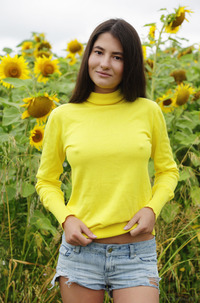 Sunflower Brunette Melisia