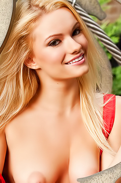 Sexy playboy collection